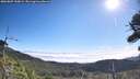 ./images/calvert/fitz-hugh-hecate/20260807/fitz-hugh-hecate20260807_100002M.jpg