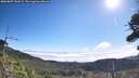 ./images/calvert/fitz-hugh-hecate/20260807/fitz-hugh-hecate20260807_100501M.jpg