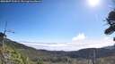 ./images/calvert/fitz-hugh-hecate/20260807/fitz-hugh-hecate20260807_101001M.jpg