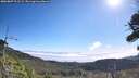 ./images/calvert/fitz-hugh-hecate/20260807/fitz-hugh-hecate20260807_101501M.jpg