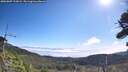 ./images/calvert/fitz-hugh-hecate/20260807/fitz-hugh-hecate20260807_102001M.jpg