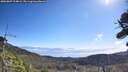 ./images/calvert/fitz-hugh-hecate/20260807/fitz-hugh-hecate20260807_104001M.jpg