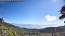 ./images/calvert/fitz-hugh-hecate/20260807/fitz-hugh-hecate20260807_105002M.jpg