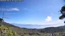 ./images/calvert/fitz-hugh-hecate/20260807/fitz-hugh-hecate20260807_110501M.jpg