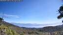 ./images/calvert/fitz-hugh-hecate/20260807/fitz-hugh-hecate20260807_112002M.jpg