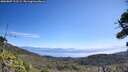 ./images/calvert/fitz-hugh-hecate/20260807/fitz-hugh-hecate20260807_112501M.jpg
