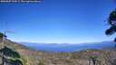 ./images/calvert/fitz-hugh-hecate/20260807/fitz-hugh-hecate20260807_154502M.jpg