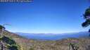 ./images/calvert/fitz-hugh-hecate/20260807/fitz-hugh-hecate20260807_162501M.jpg