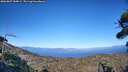 ./images/calvert/fitz-hugh-hecate/20260807/fitz-hugh-hecate20260807_184001M.jpg