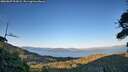 ./images/calvert/fitz-hugh-hecate/20260807/fitz-hugh-hecate20260807_202001M.jpg