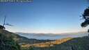 ./images/calvert/fitz-hugh-hecate/20260807/fitz-hugh-hecate20260807_203001M.jpg