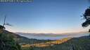./images/calvert/fitz-hugh-hecate/20260807/fitz-hugh-hecate20260807_204001M.jpg