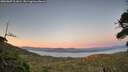 ./images/calvert/fitz-hugh-hecate/20260807/fitz-hugh-hecate20260807_211002M.jpg