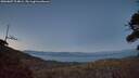 ./images/calvert/fitz-hugh-hecate/20260807/fitz-hugh-hecate20260807_214001M.jpg