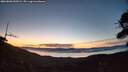 ./images/calvert/fitz-hugh-hecate/20260808/fitz-hugh-hecate20260808_053001M.jpg