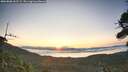 ./images/calvert/fitz-hugh-hecate/20260808/fitz-hugh-hecate20260808_062502M.jpg