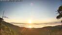 ./images/calvert/fitz-hugh-hecate/20260808/fitz-hugh-hecate20260808_064001M.jpg