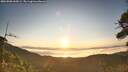./images/calvert/fitz-hugh-hecate/20260808/fitz-hugh-hecate20260808_065001M.jpg
