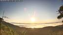 ./images/calvert/fitz-hugh-hecate/20260808/fitz-hugh-hecate20260808_070001M.jpg