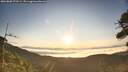 ./images/calvert/fitz-hugh-hecate/20260808/fitz-hugh-hecate20260808_070501M.jpg