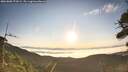 ./images/calvert/fitz-hugh-hecate/20260808/fitz-hugh-hecate20260808_072001M.jpg