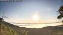 ./images/calvert/fitz-hugh-hecate/20260808/fitz-hugh-hecate20260808_072501M.jpg