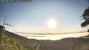 ./images/calvert/fitz-hugh-hecate/20260808/fitz-hugh-hecate20260808_073501M.jpg
