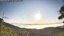 ./images/calvert/fitz-hugh-hecate/20260808/fitz-hugh-hecate20260808_074001M.jpg