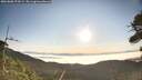 ./images/calvert/fitz-hugh-hecate/20260808/fitz-hugh-hecate20260808_074501M.jpg