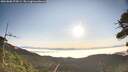 ./images/calvert/fitz-hugh-hecate/20260808/fitz-hugh-hecate20260808_075001M.jpg
