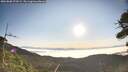 ./images/calvert/fitz-hugh-hecate/20260808/fitz-hugh-hecate20260808_075501M.jpg