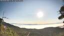 ./images/calvert/fitz-hugh-hecate/20260808/fitz-hugh-hecate20260808_080002M.jpg