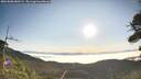 ./images/calvert/fitz-hugh-hecate/20260808/fitz-hugh-hecate20260808_080501M.jpg