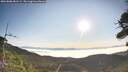 ./images/calvert/fitz-hugh-hecate/20260808/fitz-hugh-hecate20260808_081501M.jpg