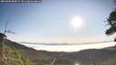 ./images/calvert/fitz-hugh-hecate/20260808/fitz-hugh-hecate20260808_082001M.jpg