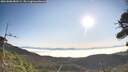 ./images/calvert/fitz-hugh-hecate/20260808/fitz-hugh-hecate20260808_083501M.jpg