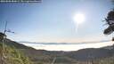 ./images/calvert/fitz-hugh-hecate/20260808/fitz-hugh-hecate20260808_084001M.jpg