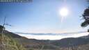 ./images/calvert/fitz-hugh-hecate/20260808/fitz-hugh-hecate20260808_085501M.jpg