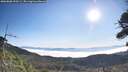 ./images/calvert/fitz-hugh-hecate/20260808/fitz-hugh-hecate20260808_090501M.jpg