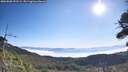 ./images/calvert/fitz-hugh-hecate/20260808/fitz-hugh-hecate20260808_093501M.jpg