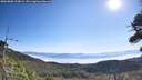 ./images/calvert/fitz-hugh-hecate/20260808/fitz-hugh-hecate20260808_100001M.jpg