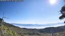 ./images/calvert/fitz-hugh-hecate/20260808/fitz-hugh-hecate20260808_100501M.jpg