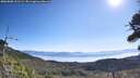 ./images/calvert/fitz-hugh-hecate/20260808/fitz-hugh-hecate20260808_101501M.jpg