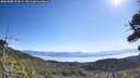 ./images/calvert/fitz-hugh-hecate/20260808/fitz-hugh-hecate20260808_103001M.jpg