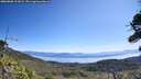 ./images/calvert/fitz-hugh-hecate/20260808/fitz-hugh-hecate20260808_111001M.jpg