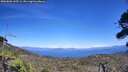 ./images/calvert/fitz-hugh-hecate/20260808/fitz-hugh-hecate20260808_145501M.jpg