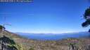 ./images/calvert/fitz-hugh-hecate/20260808/fitz-hugh-hecate20260808_154001M.jpg