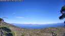./images/calvert/fitz-hugh-hecate/20260808/fitz-hugh-hecate20260808_163501M.jpg