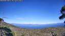 ./images/calvert/fitz-hugh-hecate/20260808/fitz-hugh-hecate20260808_164001M.jpg
