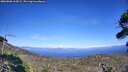 ./images/calvert/fitz-hugh-hecate/20260808/fitz-hugh-hecate20260808_164501M.jpg